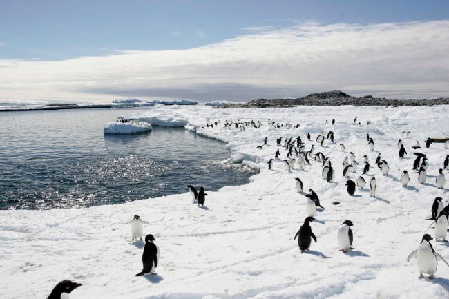 Антарктические пейзажи