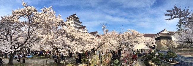 Лучшие замки и храмы Японии