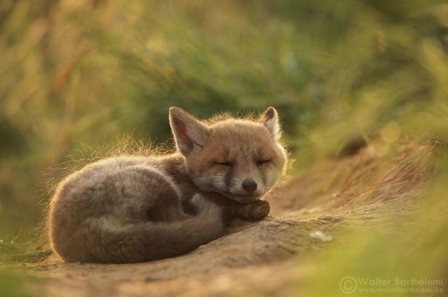 Лучшие фотографии октября 2014