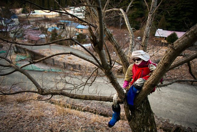 Почему в японской деревне живут 35 человек и 150 тряпичных чучел