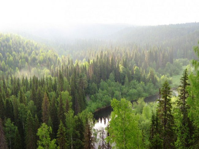 10 ШОКИРУЮЩИХ ФАКТОВ о том, как мы теряем природу России