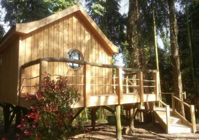 Уютный домик-скворечник в английском лесу