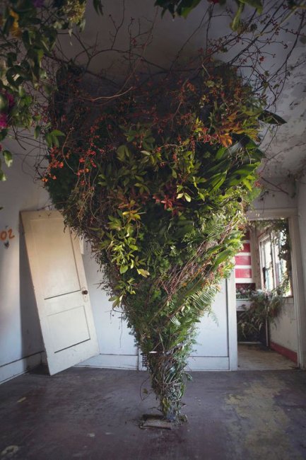 Флористы превратили заброшенный дом в храм цветов