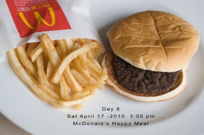137 дней гамбургеру (10 фото)