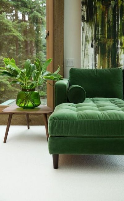 Зелёный декор дома: 10 очаровательных идей, которые стоит взять на заметку