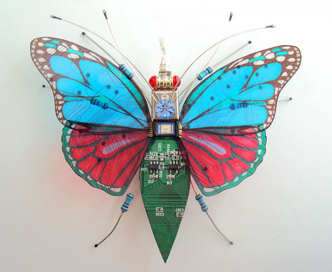 Удивительное преображение старых компьютеров: бабочки и жуки из техномусора