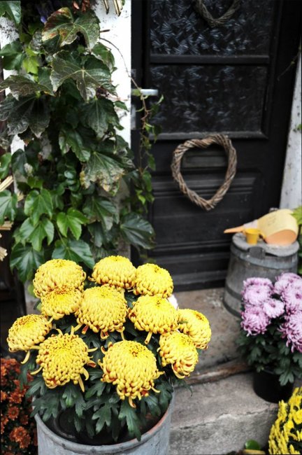 Французский флорист потратил 15 лет жизни на то, чтобы украсить свой дом 800-ми леечками
