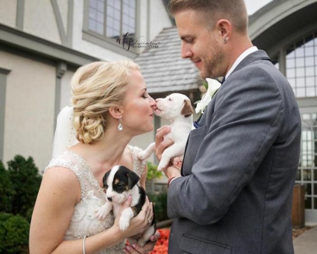 Помощь бездомным животным вместо ненужных букетов: пара отметила свадьбу с 13 щенками на руках
