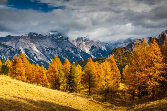 Осень в Итальянских Доломитах