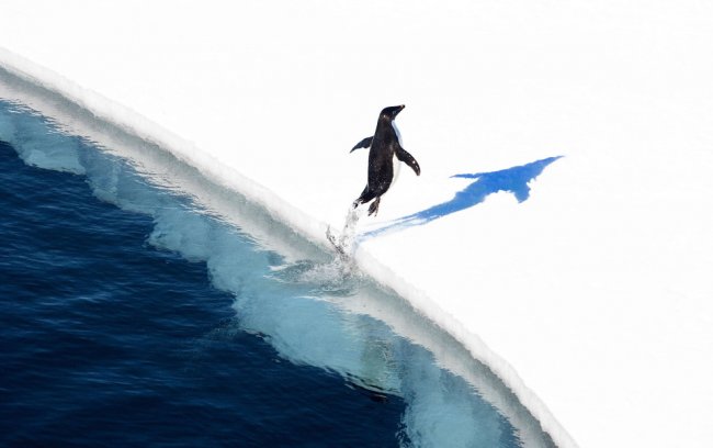 Крупнейший в мире морской заповедник в Антарктике
