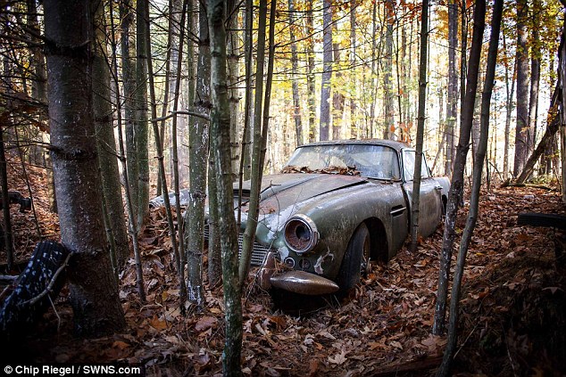 Ржавый «Астон Мартин», 40 лет простоявший в лесу, продают за 400 тысяч долларов