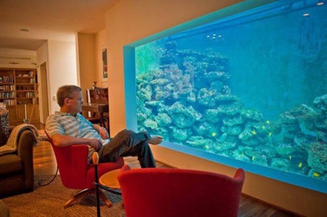 Израильтянин создал самый большой в стране аквариум для гостиной (12 фото)