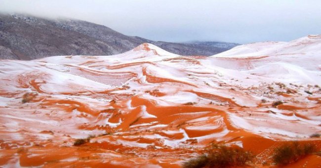 В крупнейшей пустыне Сахара выпал снег