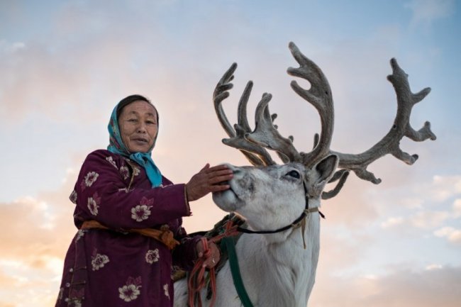 В гостях у семьи монгольских оленеводов