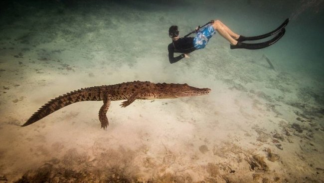 Подарок на 14-летие: плавание с крокодилами