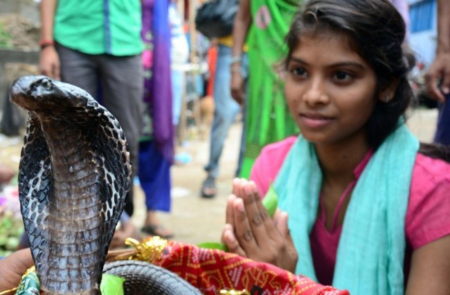 Праздник почитания змей Nag Panchami 2017