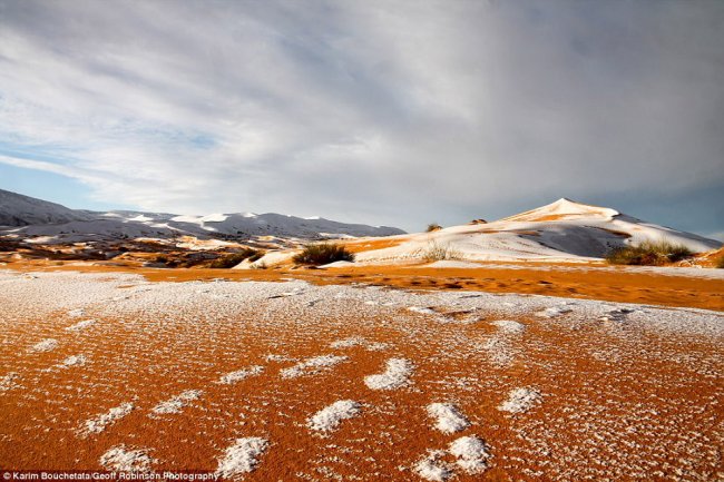 Зимнее чудо: снегопад в пустыне Сахара