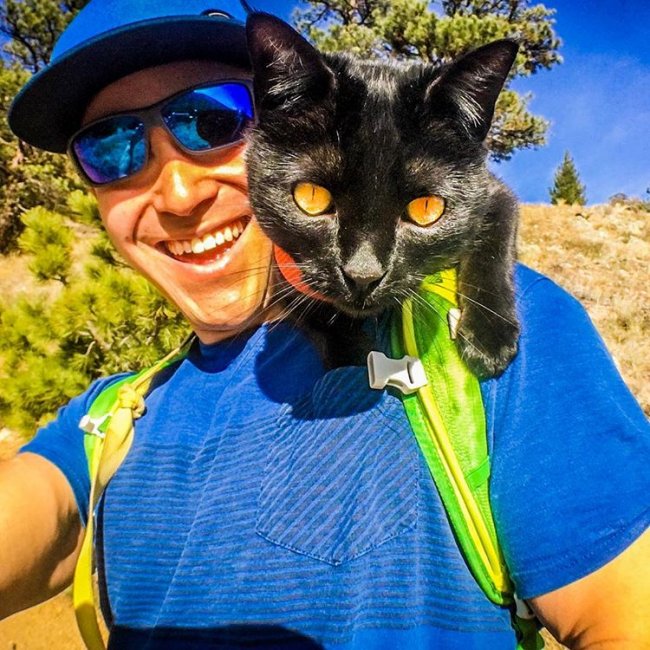 Кот Саймон 2 года путешествует со своим хозяином