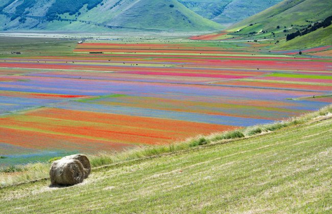 Цветущие поля Италии