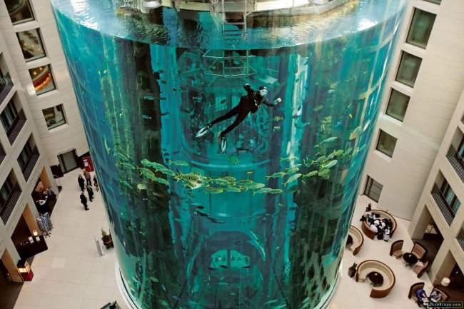 Самые необычные лифты в мире