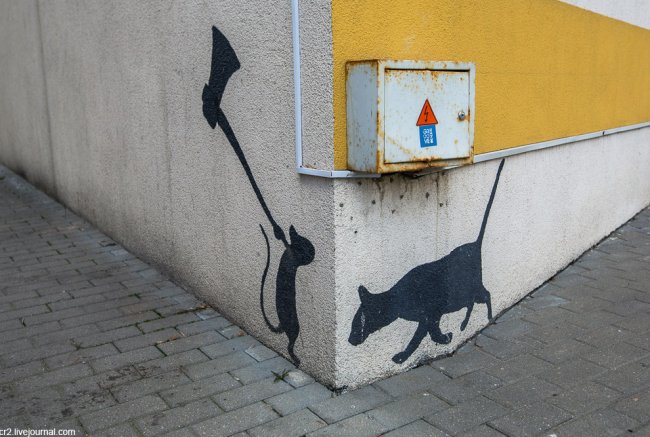 Граффити Минска: весенние коты