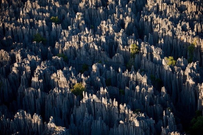 «Каменный лес» на Мадагаскаре