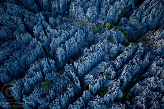 «Каменный лес» на Мадагаскаре
