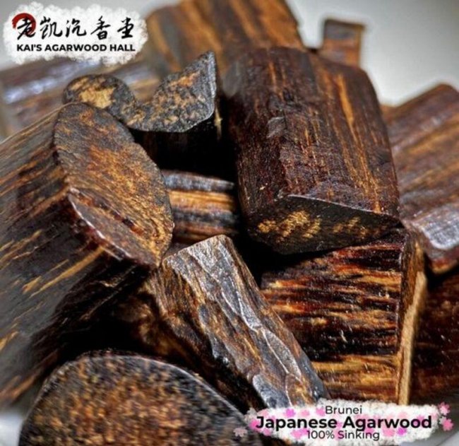 Кинам – самая редкая и дорогая древесина в мире