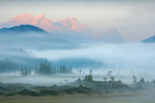 Конкурс GDT Nature Photographer. Лучший фотограф природы 2024 года