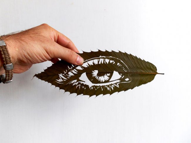 Потрясающие “картины”, вырезанные из обычных опавших листьев