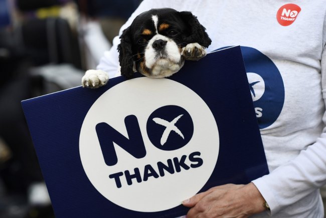 Исторический референдум в Шотландии 2014