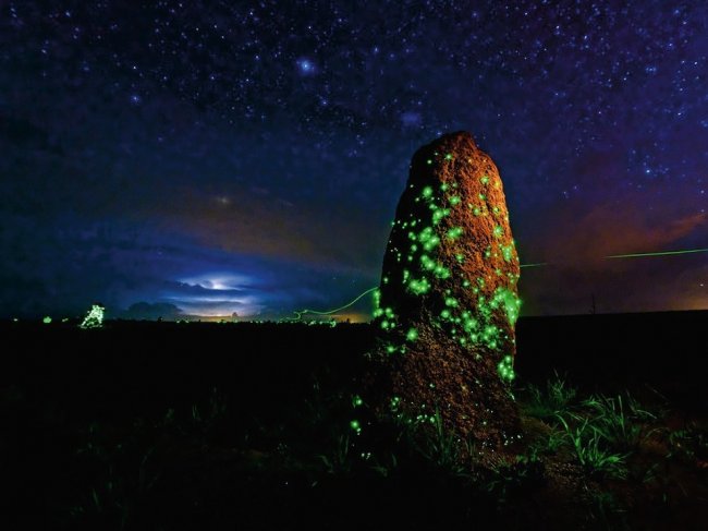 Лучшие фотографии марта от National Geographic