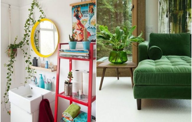 Зелёный декор дома: 10 очаровательных идей, которые стоит взять на заметку