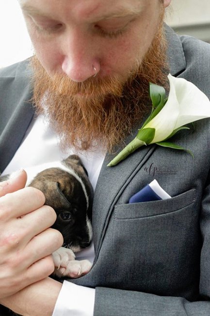 Помощь бездомным животным вместо ненужных букетов: пара отметила свадьбу с 13 щенками на руках