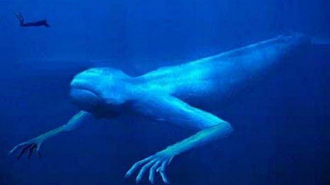 «Фэйк или нет?». Развенчиваем мифы о нескольких странных подводных монстрах, фотографии которых стали в интернете вирусными