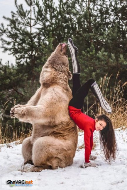 Австрийская гимнастка Стефани Миллингер в фотосессии с медведем