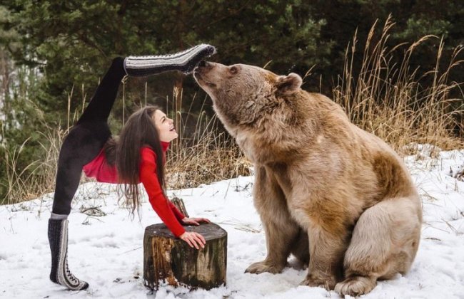 Гибкая Стефани и медведь Степан