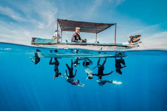 Финалисты подводного конкурса Ocean Photographer of the Year 2024