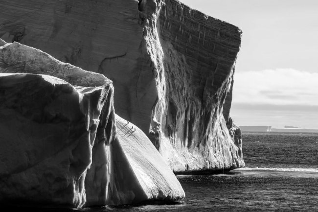 Финалисты подводного конкурса Ocean Photographer of the Year 2024